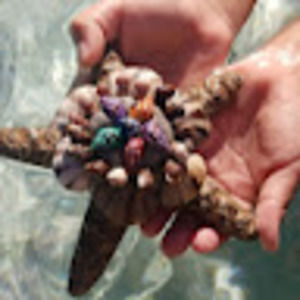 Meet your Posher, Glenda